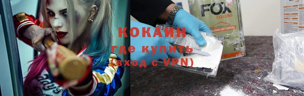 ешки Новодвинск
