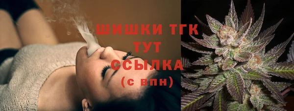 спиды Рославль