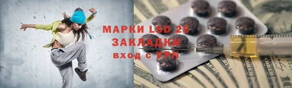 ешки Новодвинск