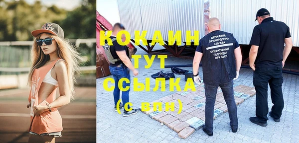 ешки Новодвинск