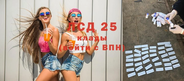 ешки Новодвинск