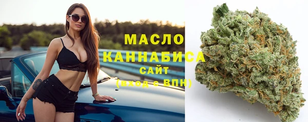 ешки Новодвинск
