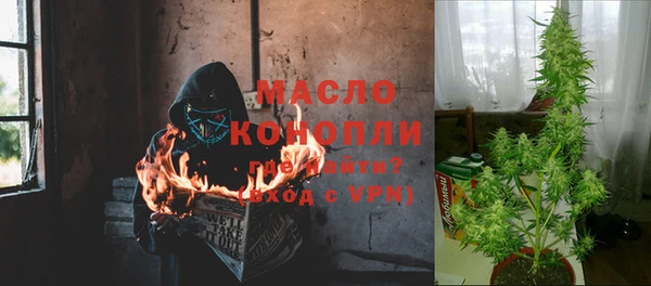 индика Усмань